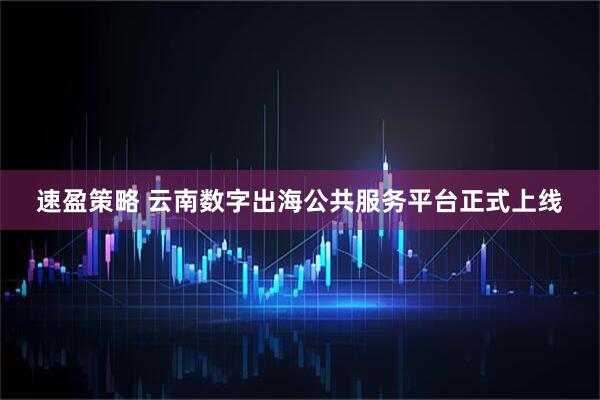 速盈策略 云南数字出海公共服务平台正式上线