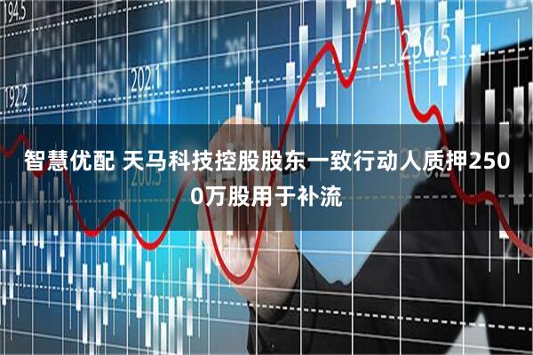 智慧优配 天马科技控股股东一致行动人质押2500万股用于补流