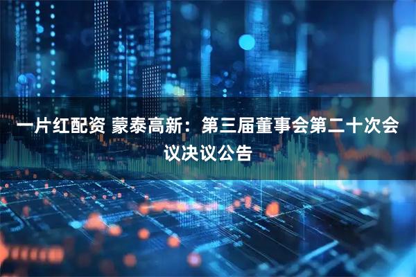 一片红配资 蒙泰高新：第三届董事会第二十次会议决议公告