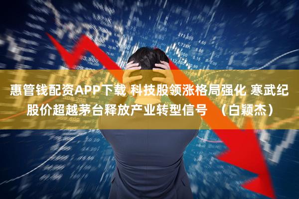 惠管钱配资APP下载 科技股领涨格局强化 寒武纪股价超越茅台释放产业转型信号  （白颖杰）