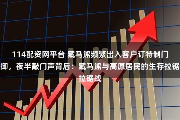 114配资网平台 藏马熊频繁出入客户订特制门抵御，夜半敲门声背后：藏马熊与高原居民的生存拉锯战