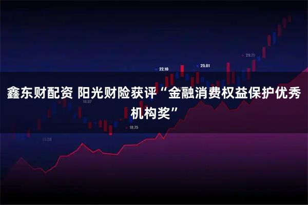 鑫东财配资 阳光财险获评“金融消费权益保护优秀机构奖”