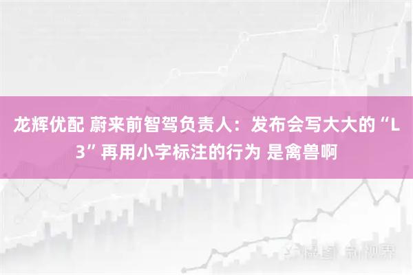 龙辉优配 蔚来前智驾负责人：发布会写大大的“L3”再用小字标注的行为 是禽兽啊